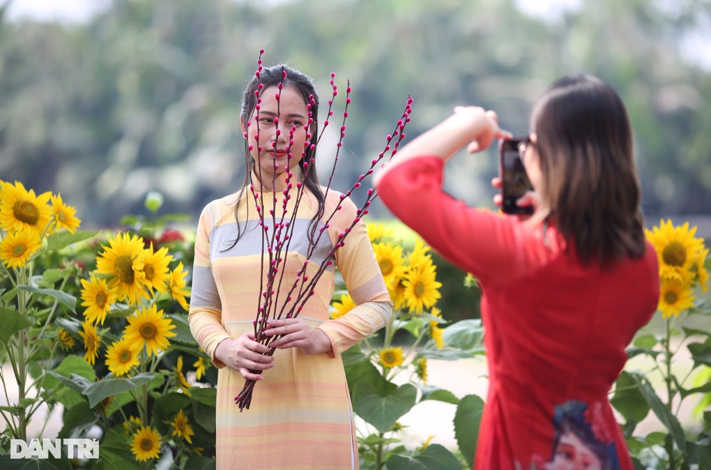 Không gian sống đắt giá bên những cung đường hoa ngày Tết - 4 Không gian sống đắt giá bên những cung đường hoa ngày Tết - 4