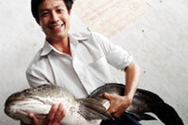 Kiên Giang: Bắt được một con cá lóc lạ 