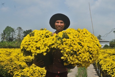 Từ làng quê ra phố ngập tràn sắc Xuân