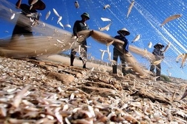 Căng thẳng biển Đông chưa tác động đến xuất khẩu thủy sản sang Trung Quốc