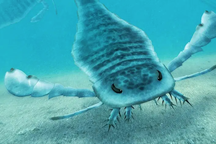 Phát hiện loài bọ cạp khổng lồ từng “khủng bố” các đại dương Trái đất