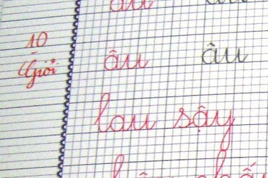Cô giáo dạy Văn tha thiết “Hãy trả điểm 10 về vị trí xứng đáng”