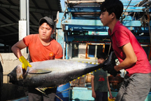 Bình Định: Thưởng Tết mức thấp nhất 150 ngàn đồng