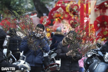Đón xuân nhẹ nhàng, không lo "trốn Tết"