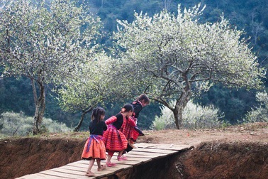 “Phượt” cùng những mùa hoa tuyệt đẹp nở rộ trong năm