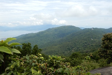 Ủy ban của Quốc hội vào cuộc việc quy hoạch Sơn Trà