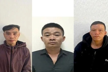 Nhóm người lái 2 ô tô đi trộm sầu riêng