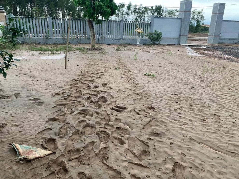 Cô gái Quảng Trị bỏ phố về quê làm nông nghiệp sạch, sống tối giản - 8 Cô gái Quảng Trị bỏ phố về quê làm nông nghiệp sạch, sống tối giản - 8