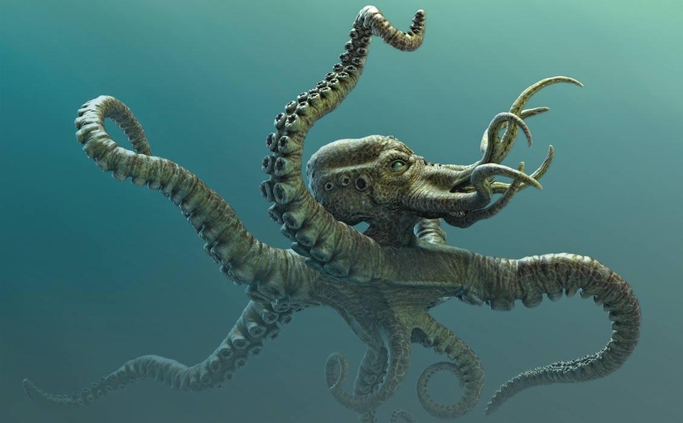 Bí ẩn về sự tồn tại của quái vật Kraken - 1 Bí ẩn về sự tồn tại của quái vật Kraken - 1