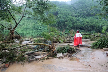 8 thợ rừng mất tích trong lũ trở về