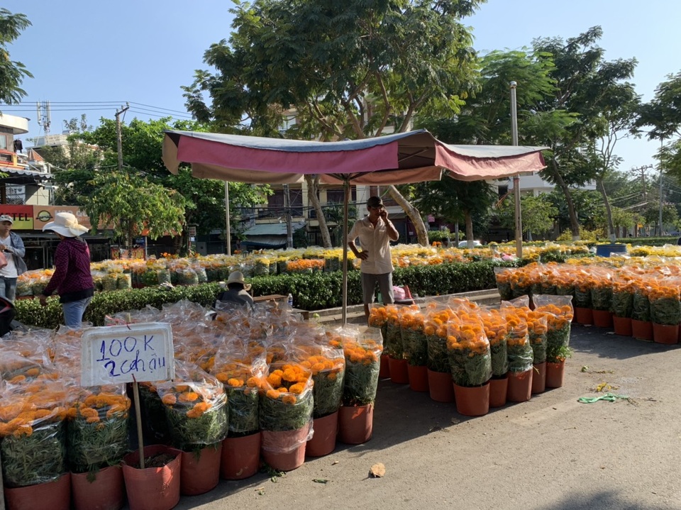 Thương lái mệt mỏi xả hàng, giá hoa tết nhiều nơi giảm 50-70% - 9 Thương lái mệt mỏi xả hàng, giá hoa tết nhiều nơi giảm 50-70% - 9