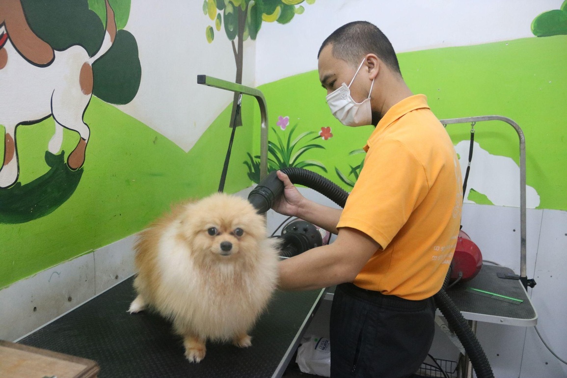 Nhà giàu Việt thuê khách sạn sang chảnh, có cả vệ sĩ cho thú cưng ngày Tết - 6 Nhà giàu Việt thuê khách sạn sang chảnh, có cả vệ sĩ cho thú cưng ngày Tết - 6