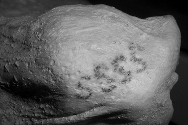 Hình xăm đầu tiên thế giới được phát hiện trên xác ướp của Gebelein