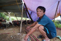 Lũ cao hơn 4m nhấn chìm cả gia tài, nông dân khóc nấc vì tiếc của