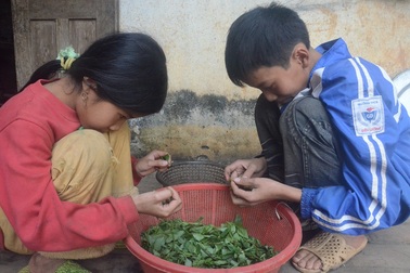 Mẹ bỏ đi, bé 14 tuổi gồng gánh nuôi cả gia đình