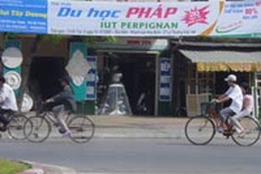 Sôi động thị trường du học