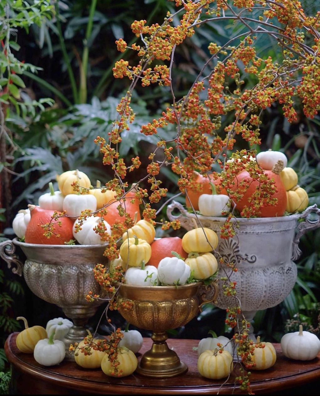 Bí ngô độc lạ tiền triệu, nhà giàu Việt đua nhau săn lùng chơi Halloween - 4 Bí ngô độc lạ tiền triệu, nhà giàu Việt đua nhau săn lùng chơi Halloween - 4