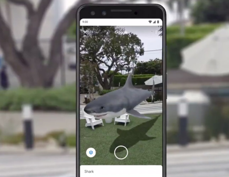 Thăm vườn bách thú 3D trong mùa dịch Covid-19 chỉ với Google Search - 1 Thăm vườn bách thú 3D trong mùa dịch Covid-19 chỉ với Google Search - 1