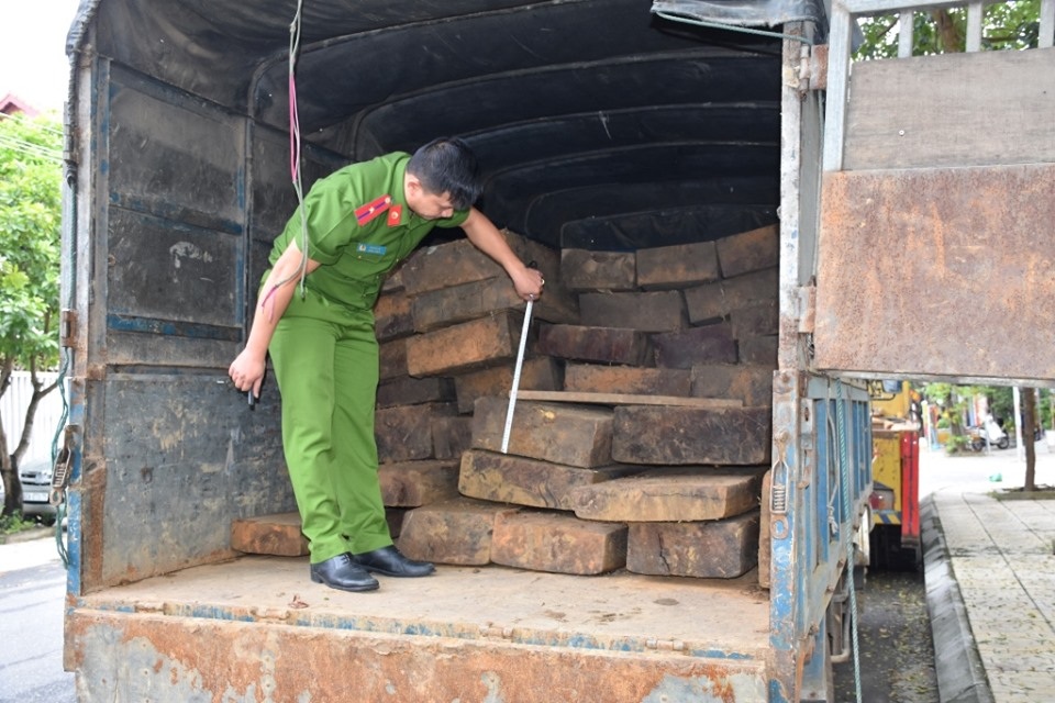 Cuối năm gia tăng tình hình vận chuyển, buôn bán gỗ lậu Cuối năm gia tăng tình hình vận chuyển, buôn bán gỗ lậu