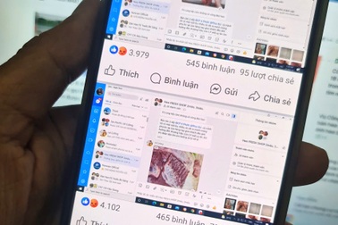 Người từng quản lý chi nhánh C.P. ở Hậu Giang nói gì về phản ánh heo bệnh?