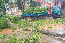 Thanh Hóa: Chủ động cho học sinh nghỉ học khi có tình huống nguy hiểm