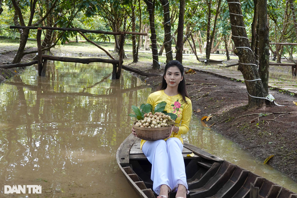 Các điểm nghỉ dưỡng của Cần Thơ cháy phòng trong dịp lễ 2/9 - 3 Các điểm nghỉ dưỡng của Cần Thơ cháy phòng trong dịp lễ 2/9 - 3