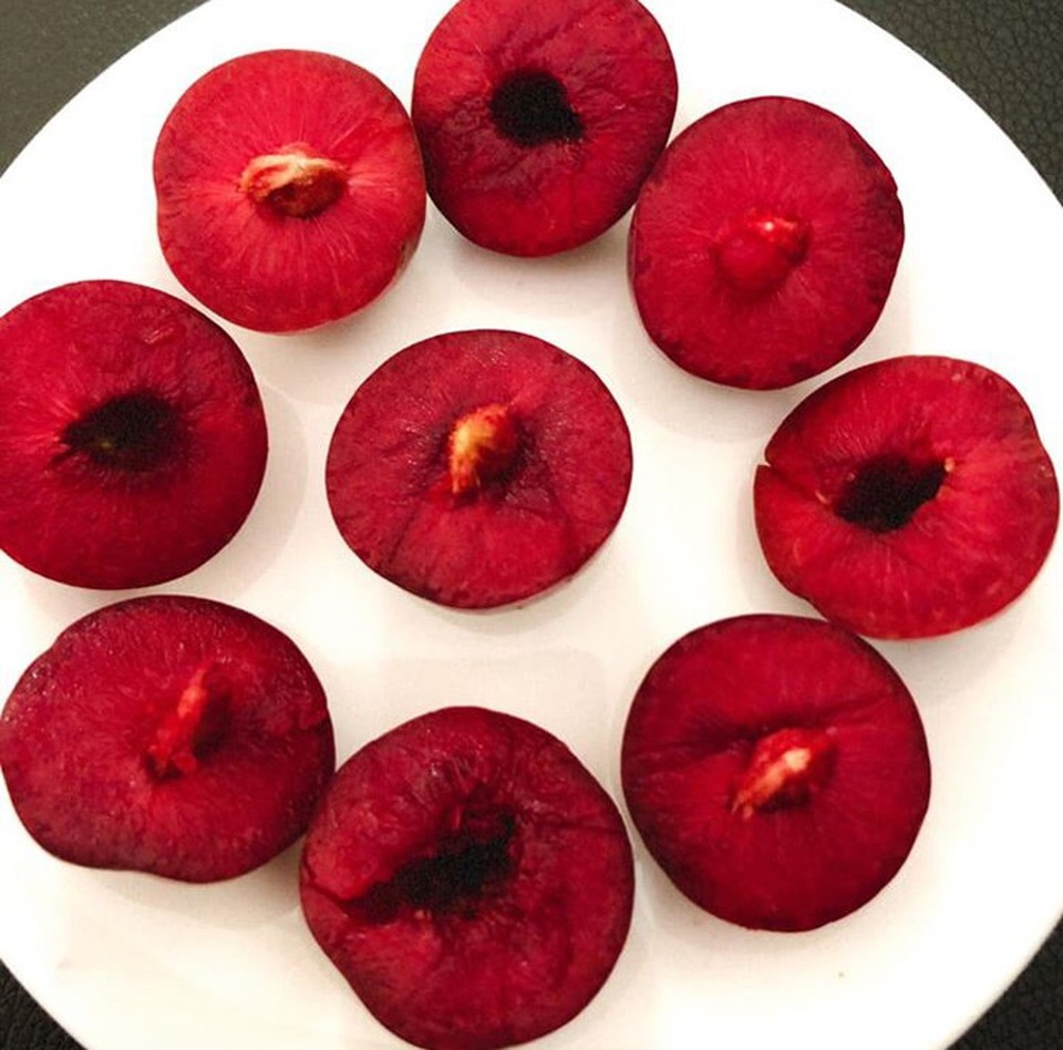 Mận đồi Pu Nhi ngọt như cherry, giá đắt ngang nho Mỹ vẫn “cháy” hàng - 5 Mận đồi Pu Nhi ngọt như cherry, giá đắt ngang nho Mỹ vẫn “cháy” hàng - 5