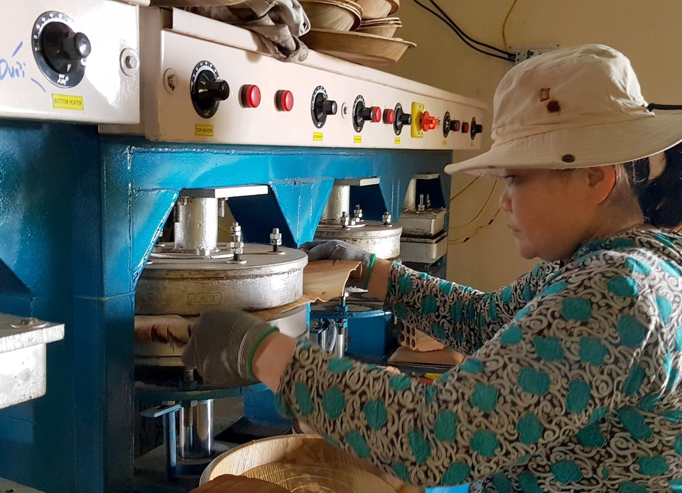 Kiếm trăm triệu từ mo cau.jpg Kiếm trăm triệu từ mo cau.jpg