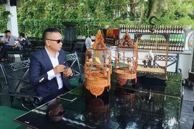 Nguồn cảm hứng đến từ những chú chim