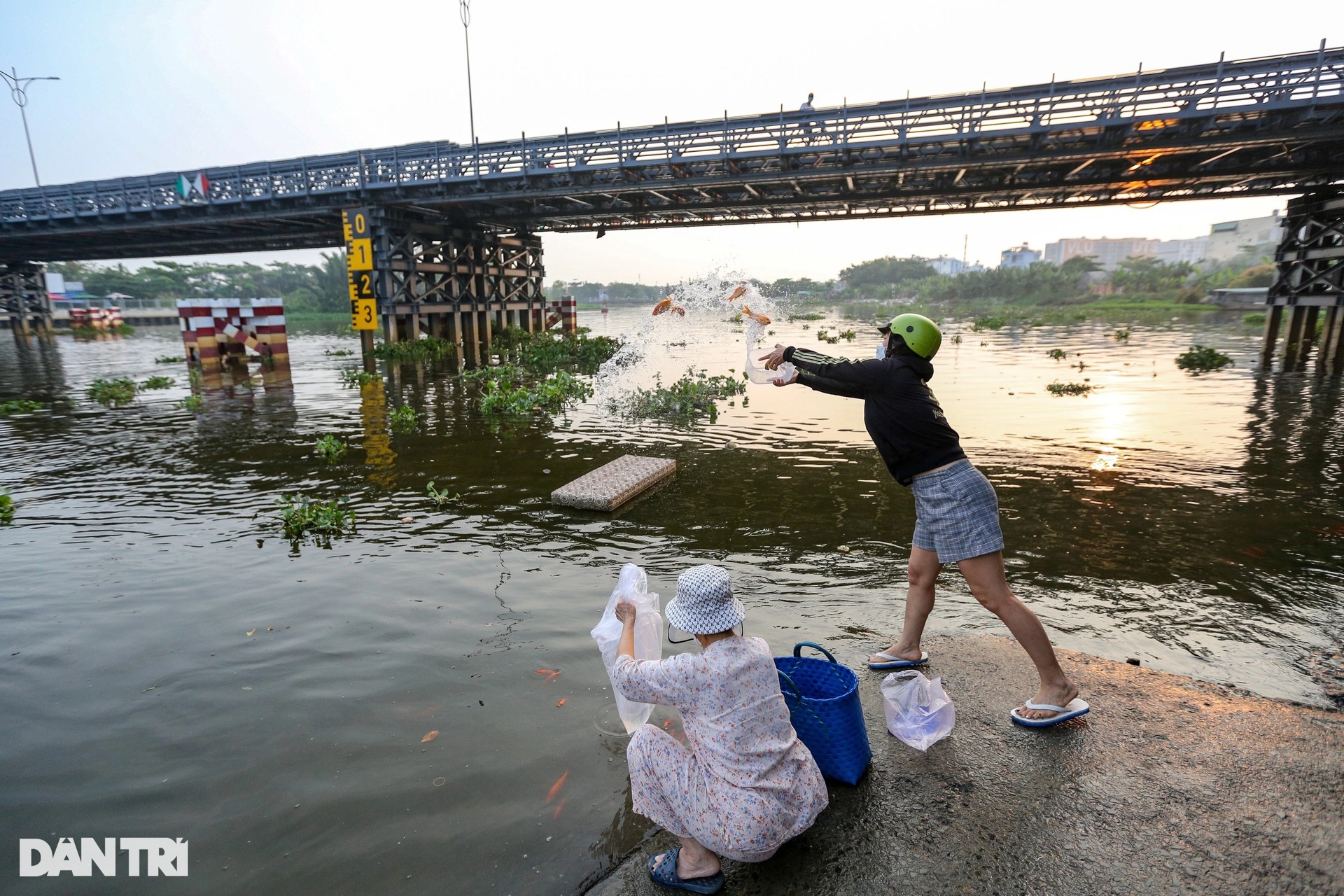 Người dân thuê thuyền ra giữa sông Sài Gòn thả cá tiễn ông Táo - 6