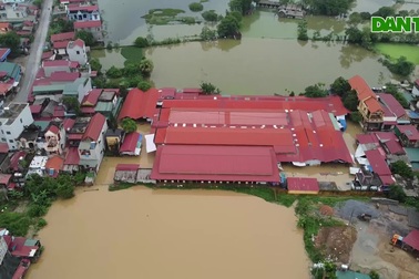 Vất vả nuôi cá cả năm, người nông dân trắng tay sau một đêm mưa lớn