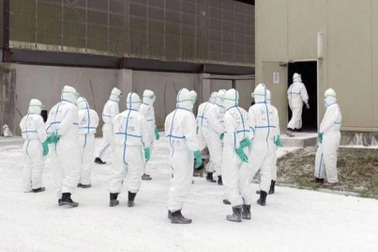 Châu Âu, châu Á đối mặt với đợt bùng phát cúm gia cầm