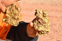 Hai anh em chuyên tìm kho báu đào được 2 cục vàng "khủng" trị giá 8 tỷ đồng