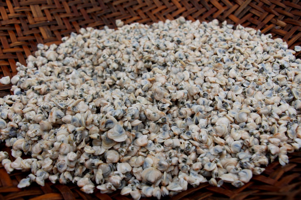 Làng đãi hến hơn 300 năm bên bờ sông La - 11 Làng đãi hến hơn 300 năm bên bờ sông La - 11