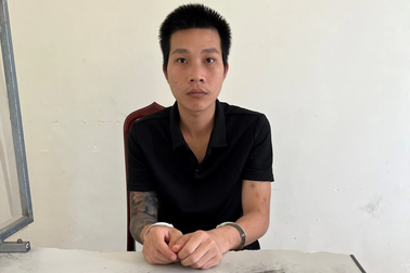 Giả mạo nhà vườn rao bán cây cảnh rồi chiếm đoạt hơn 300 triệu đồng