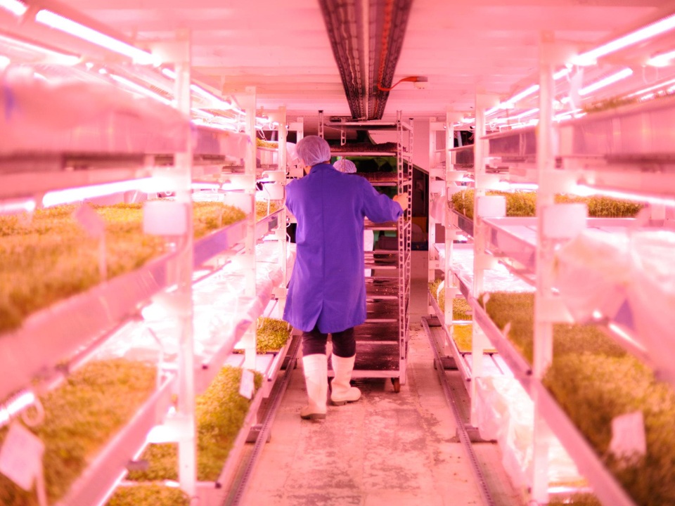 Kinh ngạc nông trại hiện đại ở độ sâu 33m, trồng rau không cần đất - 8