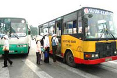 TPHCM: Kiểm tra toàn bộ giấy phép lái ô tô