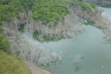 Sai phạm trong quản lý tài chính ở Công ty lâm ngiệp Kon Plông
