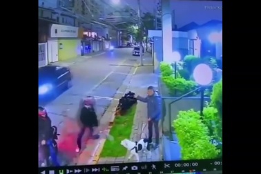 Chú chó dũng cảm, bảo vệ chủ khỏi tên cướp