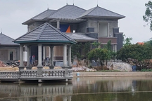 Xem xét trách nhiệm vụ loạt biệt thự mọc trên đất nông trường