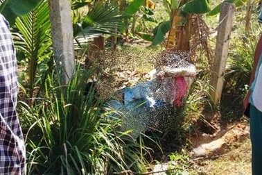 Vụ đôi vợ chồng bị điện giật tử vong: Luật sư lên tiếng