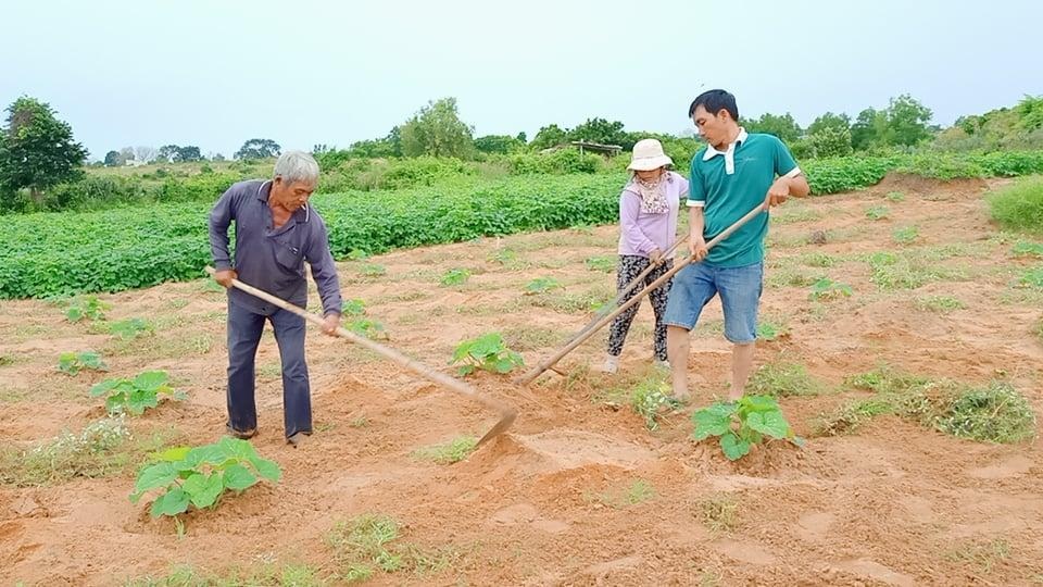 Khu vườn rộng 1.400m2 ngập tràn rau củ quả của ông bố gà trống nuôi con - 1 Khu vườn rộng 1.400m2 ngập tràn rau củ quả của ông bố gà trống nuôi con - 1