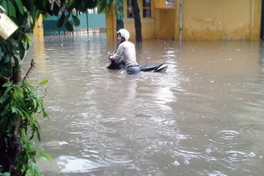 Cú thoát chết hi hữu