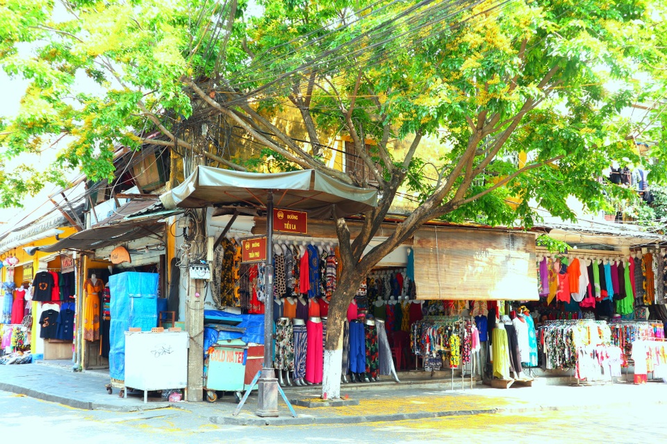 Hoa sưa nở vàng rực phố cổ giữa mùa dịch Covid-19 - 11 Hoa sưa nở vàng rực phố cổ giữa mùa dịch Covid-19 - 11