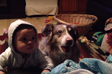 Clip vui: "Nói mama đi nào!"