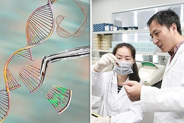 Các em bé biến đổi gene có thể thành… “siêu nhân” với bộ não được tăng cường