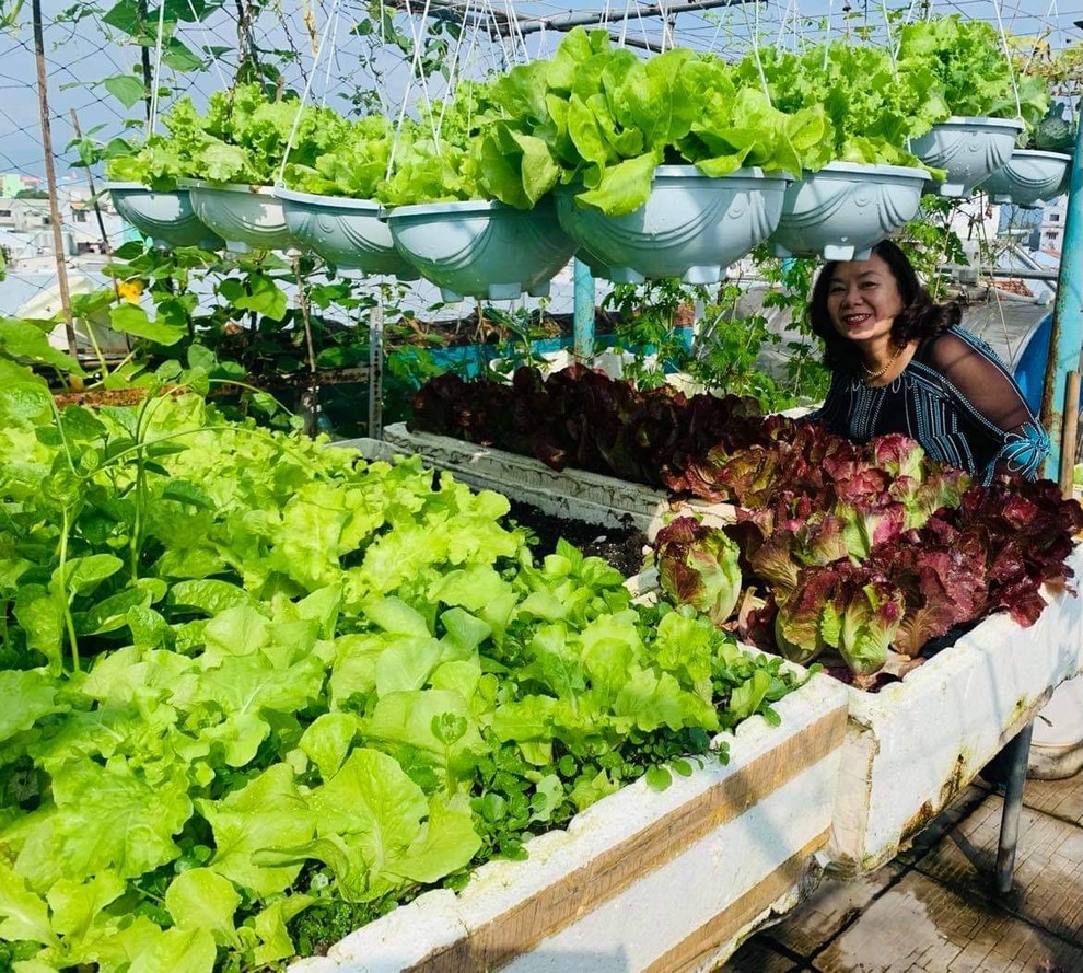 Hành trình làm nông dân sân thượng của người phụ nữ Đà Nẵng yêu vườn - 1 Hành trình làm nông dân sân thượng của người phụ nữ Đà Nẵng yêu vườn - 1