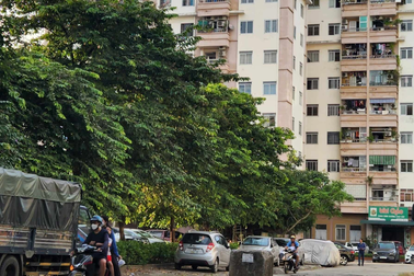 Chuyên gia nêu "tử huyệt" của thị trường bất động sản hiện nay