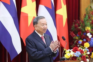 Cây lúa Việt Nam đang xanh tốt trên những cánh đồng hữu nghị tại Cuba