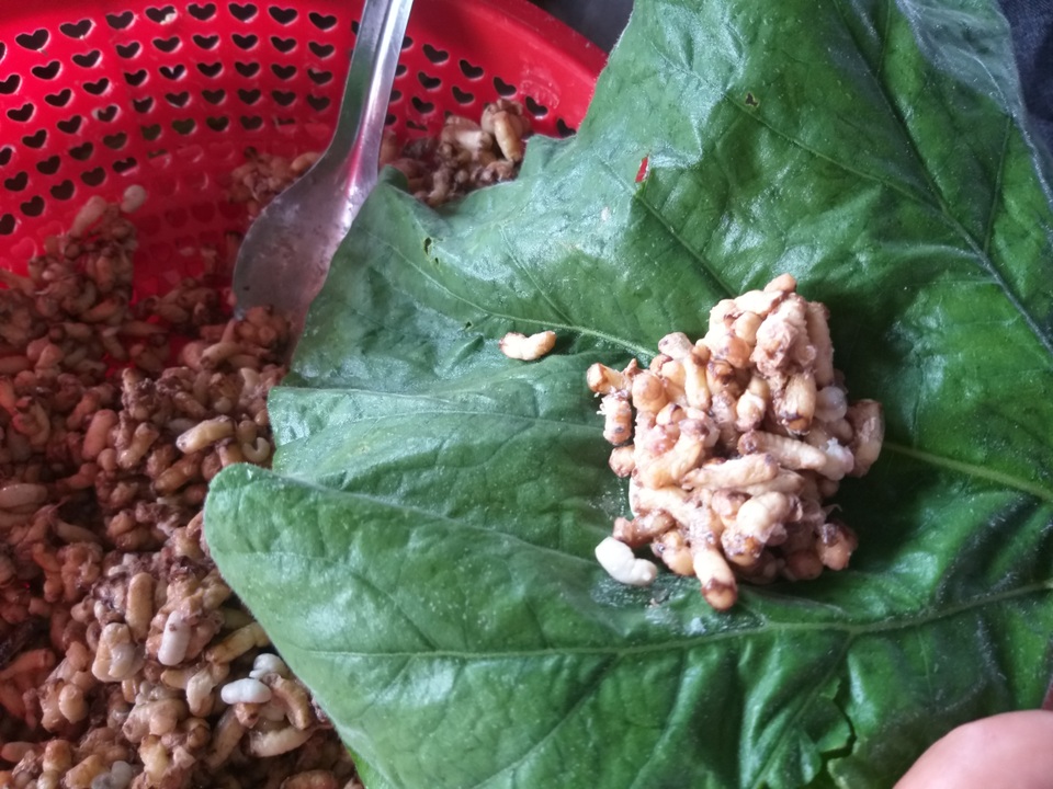 Về U Minh Hạ thưởng thức Về U Minh Hạ thưởng thức